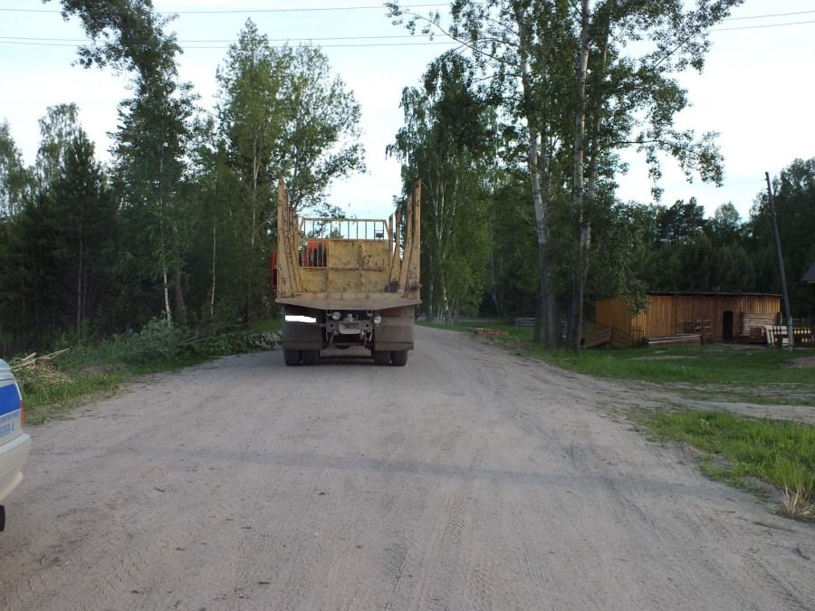 Происшествия, Томские новости, всадник конь ДТП попал под машину КамАЗ Пьяный всадник не уступил дорогу КамАЗу в Томской области