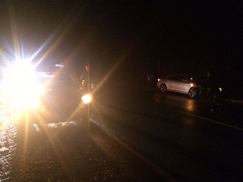 Происшествия, Томские новости, автомобиль сбили медведя насмерть медведь вышел на дорогу На трассе Томск — Колпашево сбили медведя, пострадали две машины