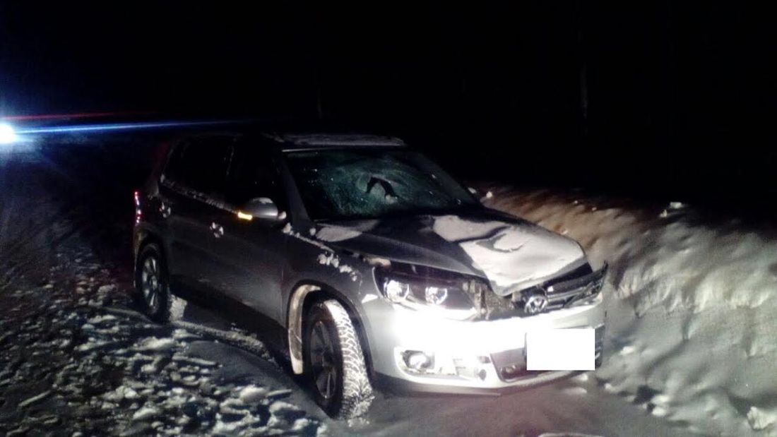 Происшествия, Томские новости, инормарка фольксваген сбили пешехода смертельное дтп один труп Иномарка насмерть сбила пешехода на трассе под Томском