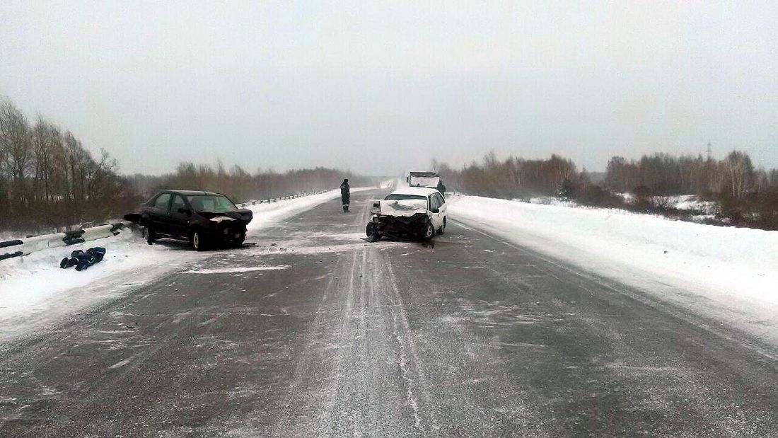 Происшествия, Томские новости, смертельное ДТП погиб профессор ТГУ Renault Logan Известный ученый-филолог Янушкевич погиб в ДТП в Томской области