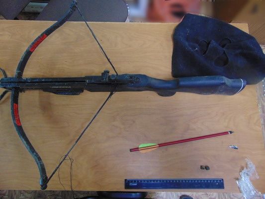 Происшествия, Томские новости, тюрьма колония передача наркотики курьер Томич с помощью арбалета пытался передать наркотики в колонию