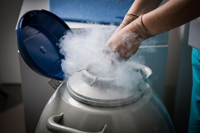 Предприятия Томска и области, Томская ТВЗ, Томские новости, криогеника ОЭЗ Томск предприятия новые предприятия В Томске создадут центр криотехнологий