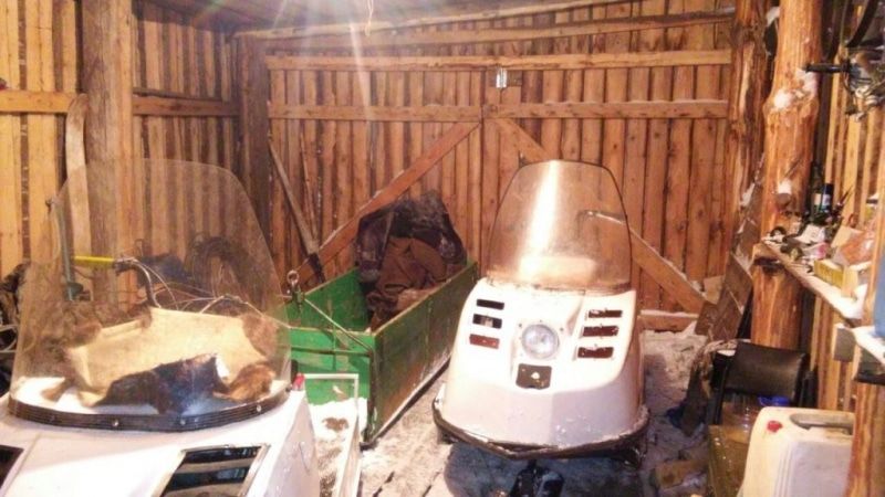 Криминал, Томские новости, убил охотник незаконная добыча мертвый лось В Томской области мужчина убил лося и закопал его мясо во дворе