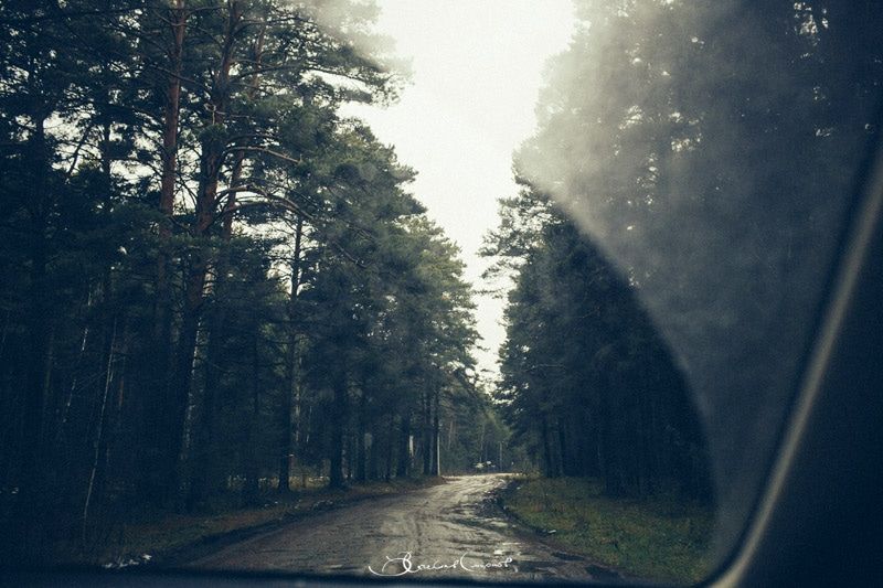 Дороги, Томские новости, безопасность дороги федеральный бюджет ремонт дорог В этом году в Томской области планируют отремонтировать почти 100 км дорог