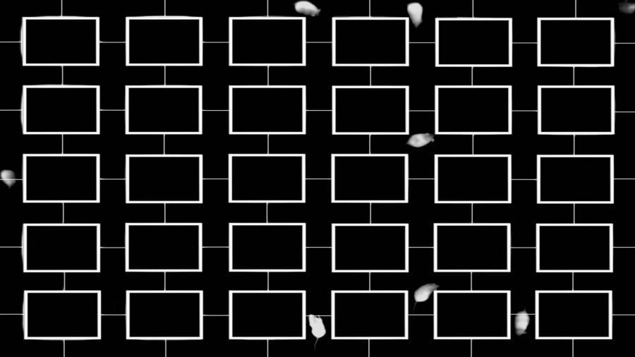 Культура в Томске, Томские новости, искусство выставка центр современного искусства В Томске пройдет «Не-лекция» о гибридном искусстве