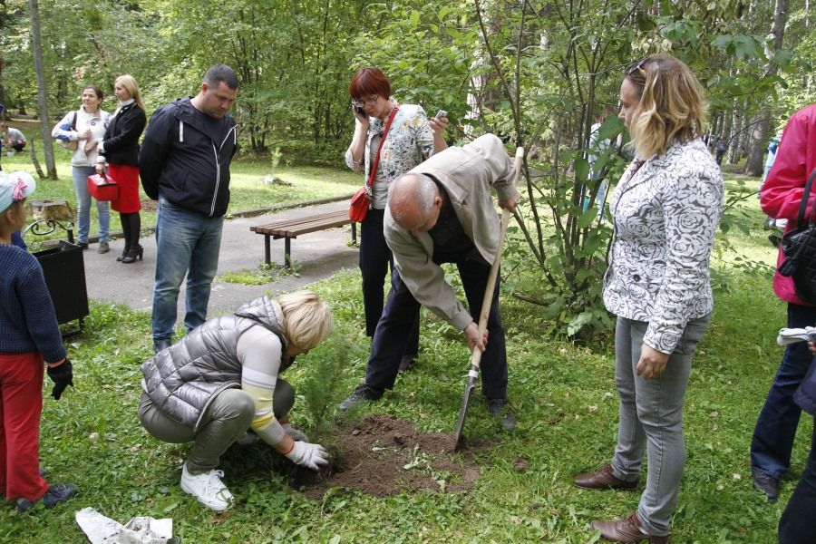 ЗД ТО, Томские новости, Кедры год экологии дума Томской области депутаты сибирский кедр саженцы Депутаты томской облдумы высадили кедры в Лагерном саду