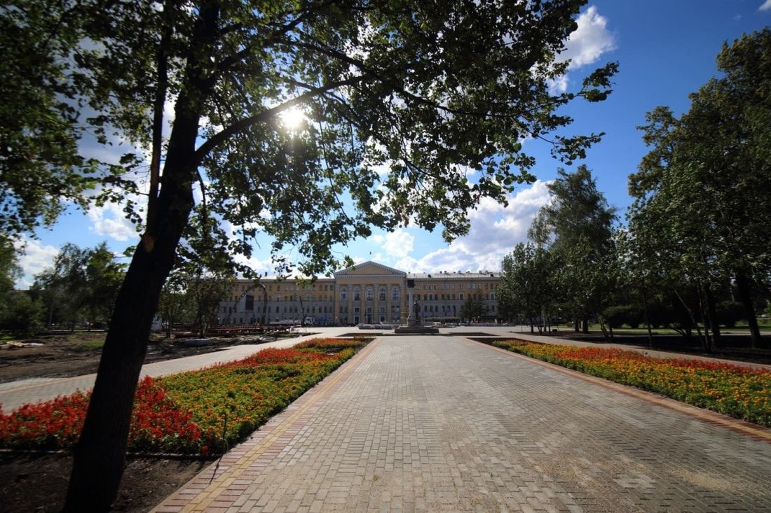 Городское благоустройство, Ново-Cоборная, Томские новости, Новособорная кедра Кедровая аллея появилась на площади Новособорной в Томске