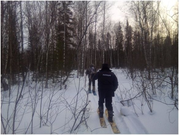 Томские новости, убийца охотник косуля Красная книга браконьер В Томской области задержали убийцу краснокнижной косули