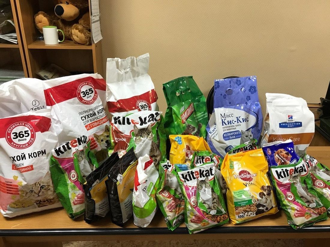 Благотворительность, Конкурсы и акции, Томские новости, бездомные животные корма для кошек для собак помочь животным помочь котикам собачкам В общежитиях Томского политеха установят «Коробки счастья» для бездомных животных