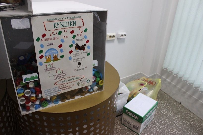 Благотворительность, Конкурсы и акции, Томские новости, сбор крышек ТПУ политех крышки помощь животным Томичи собрали около 20 кг пластиковых крышек, чтобы помочь животным