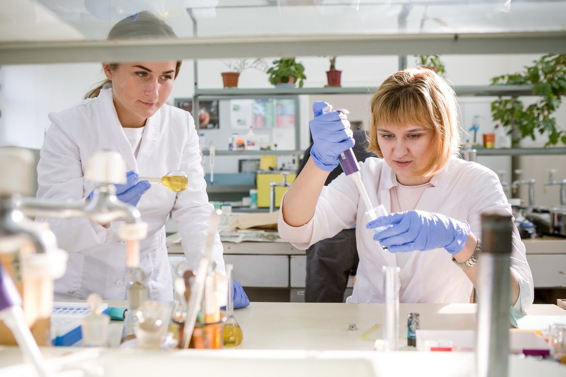 Образование и наука, Томские новости, образование лекарства обезболивающие флавоноиды Томские ученые выделили фитокомплекс с обезболивающим эффектом