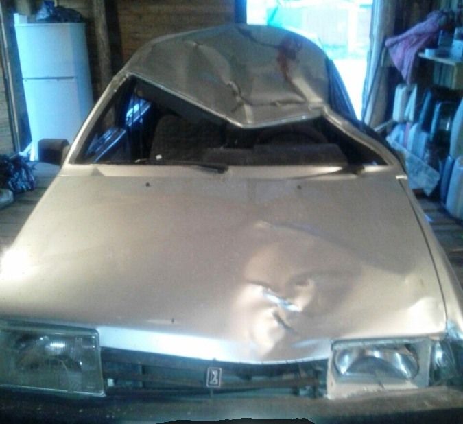 Происшествия, Томские новости, лось сбил попал под колеса дикие животные ВАЗ сбил лося на трассе под Томском, пострадал водитель