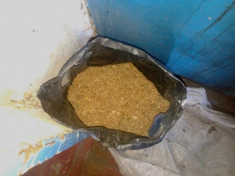 Криминал, Томские новости, Шегарский район марихуана наркотики трава У жителя Томской области изъяли более килограмма марихуаны