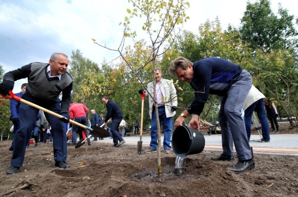 Городское благоустройство, Ново-Cоборная, Томские новости, Новособорная площадь благоустройство яблони липа Реконструкция Новособорной в Томске завершилась высадкой лип и яблонь
