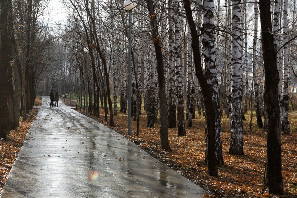 Городское благоустройство, Томские новости, михайловская роща терраса благоустройство обустройство В следующем году в Томске будут благоустраивать верхнюю террасу Михайловской рощи