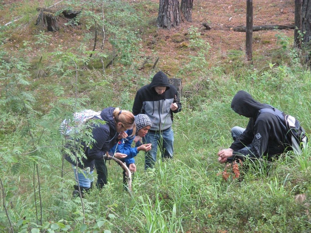 Образование и наука, Томские новости, мох образование радиофизики болота Васюганские болота Томские ученые научились дистанционно определять виды болотных растений