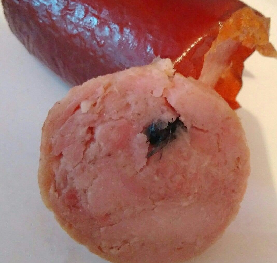 Безопасность, Предприятия Томска и области, Томские новости, Лама колбаса нарушение Роспотребнадзор Томич нашел муху в колбасе томского производителя, инициирована проверка