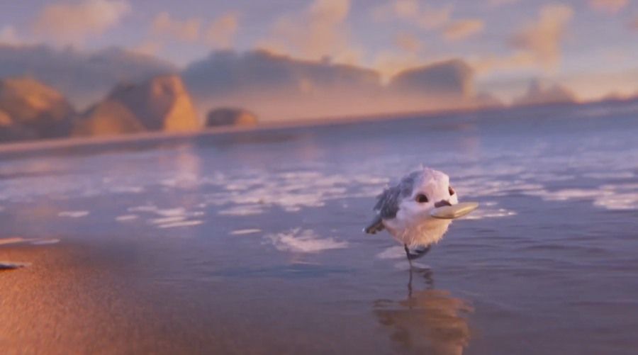 Культура в Томске, Томские новости, оскар шортс короткометражки Оскар анимация мультики песчанки песочник Томичам покажут короткометражки, номинированные на «Оскар»