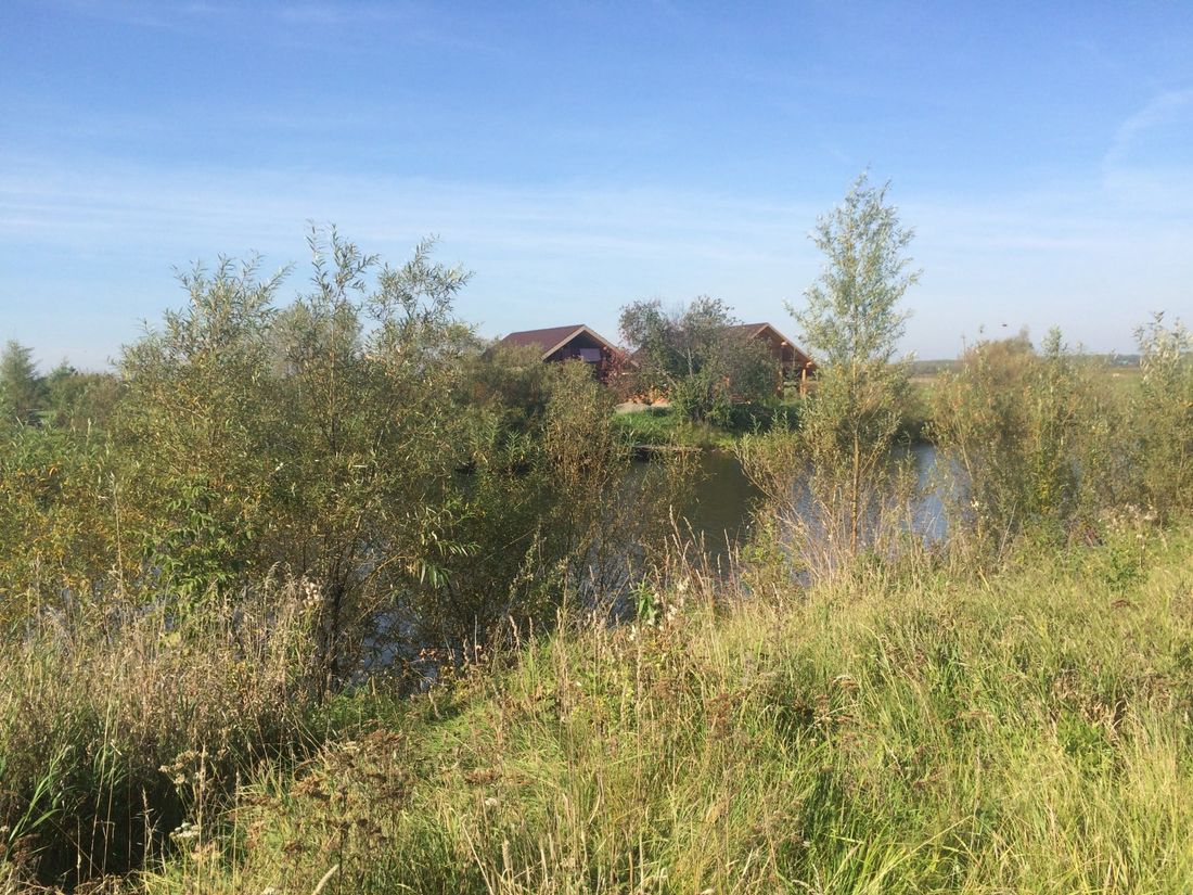 Природа, Томские новости, озеро природные ресурсы Прокуратура добивается возврата в федеральную собственность незаконно проданного озера под Томском