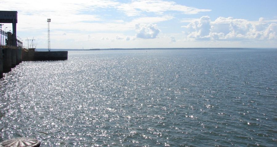 Образование и наука, ТГУ, Томские новости, ТГУ образование и наука Студентка-эколог ТГУ нашла способ помочь и промышленникам, и чиновникам