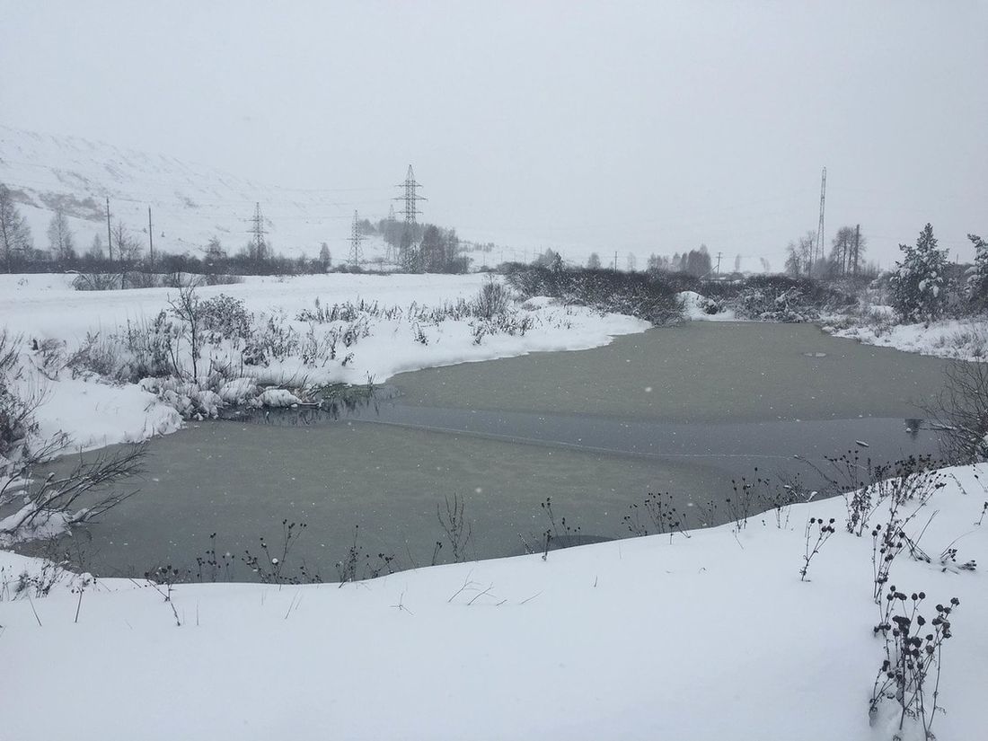 Образование и наука, Природа, Томские новости, ученые наука образование экология природа Биологический институт ТГУ Томские ученые следят за экосистемой реки Кыргай