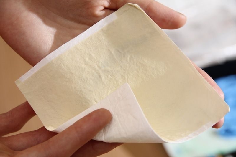 Образование и наука, Томские новости, скаффолд выращивание тканей материал биология новые клетки Томские ученые создали новый материал для эффективного выращивания органов и тканей