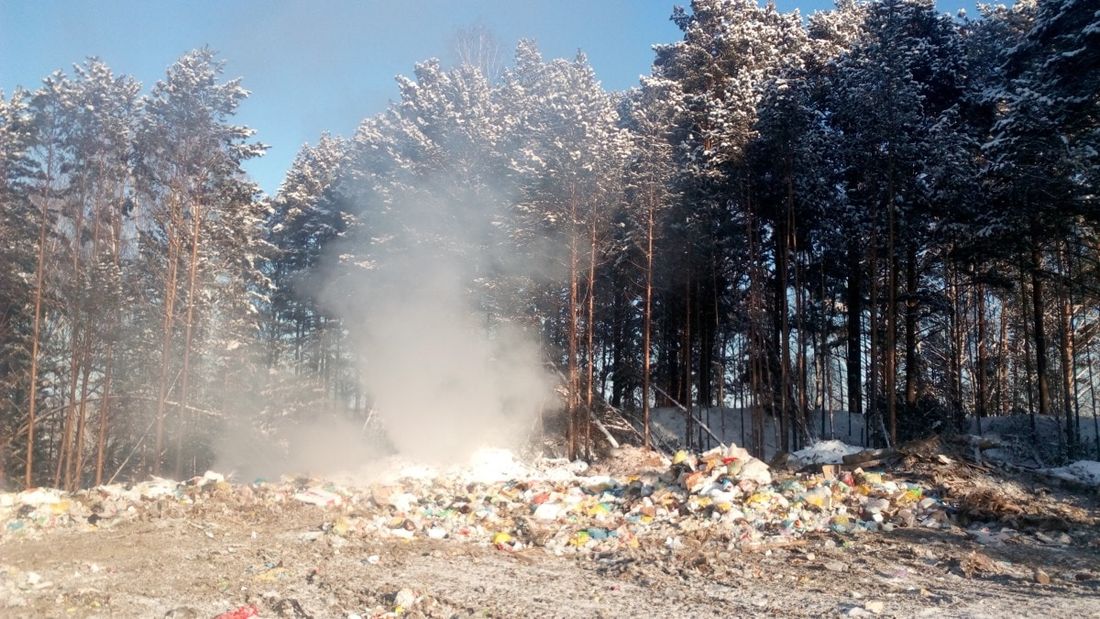 Погода и природа, Происшествия, Судебные дела, Томские новости, затон моряковка лес горит свалка пожар Прокуратура потребовала ликвидировать тлеющую свалку в Томском районе