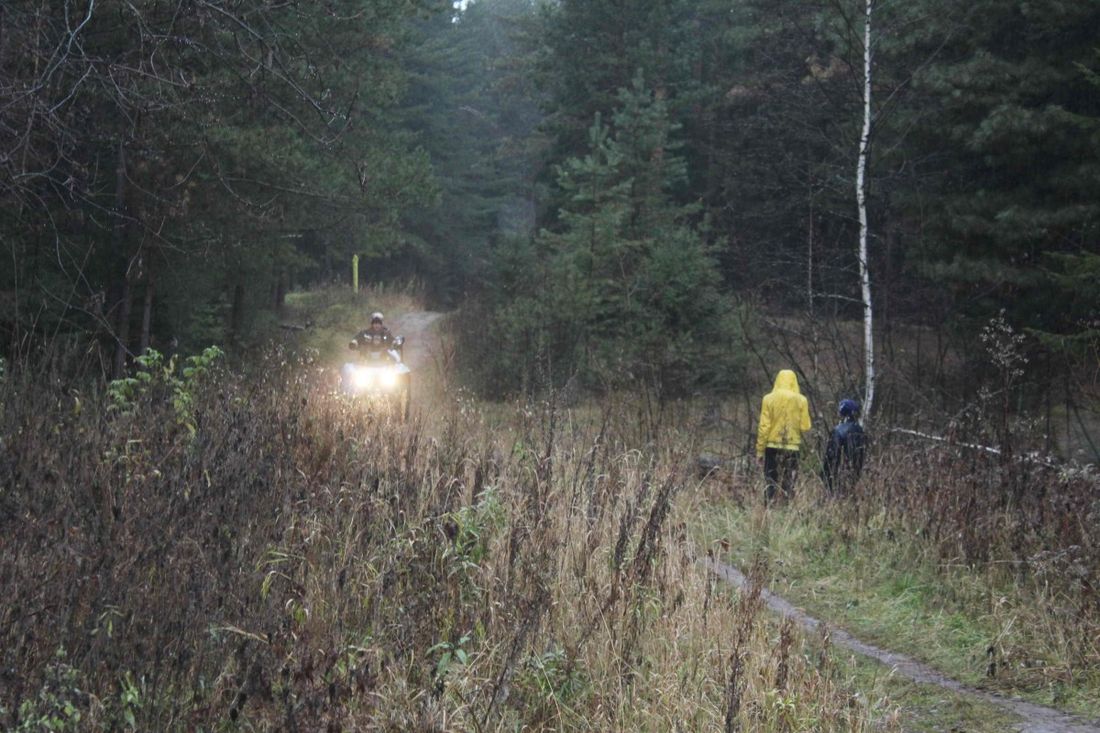 Происшествия, Томские новости, заблудились потерялись в лесу вывели дикоросы сборщики ягод трав растений В Томской области из леса вывели заблудившихся сборщиков дикоросов