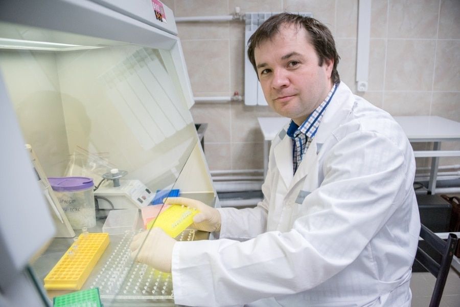 Образование и наука, Томские новости, образование наука разнообразие ТГУ томский госуниверситет В Томской области обнаружили редкий подвид гусей