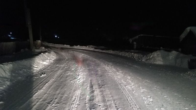 Происшествия, Томские новости, авария ДТП сводка происшествий аварии жесть Томска зимние забавы собачьи упряжки Девочка, катавшаяся на санках, пристегнутых к собаке, попала под машину в Томской области