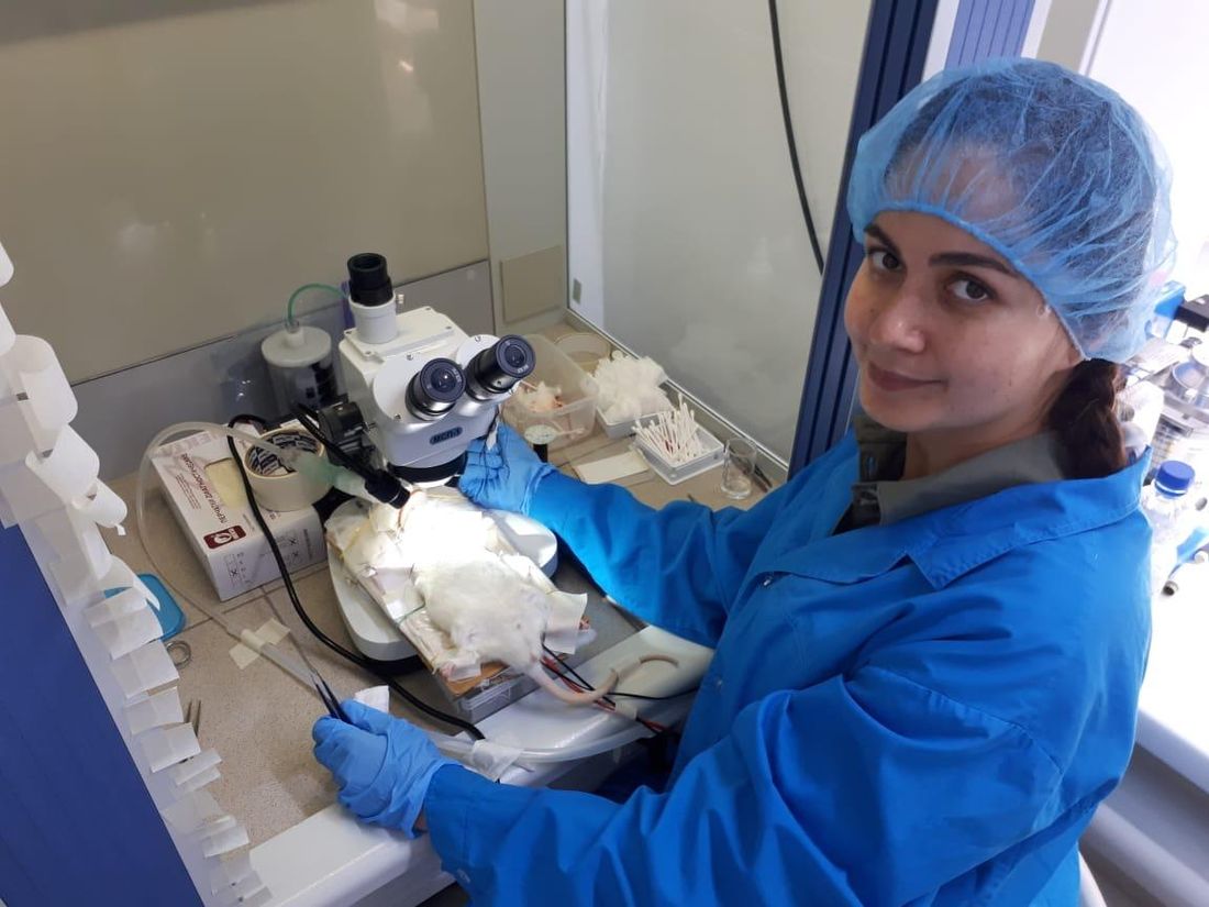 Образование и наука, ТГУ, Томские новости, нейробиологи миграция нейроны ТГУ Бельги США томские ученые Томские ученые помогли разработать первый в мире неинвазивный способ мониторинга миграции молодых нейронов