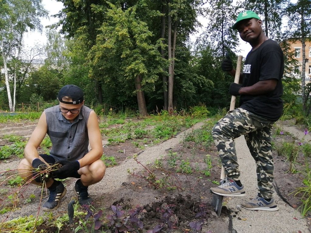 Зелень в городе, ТГУ, Томские новости, ботанический сад экспозиция ТГУ образование В Ботсаду ТГУ готовят новую экспозицию