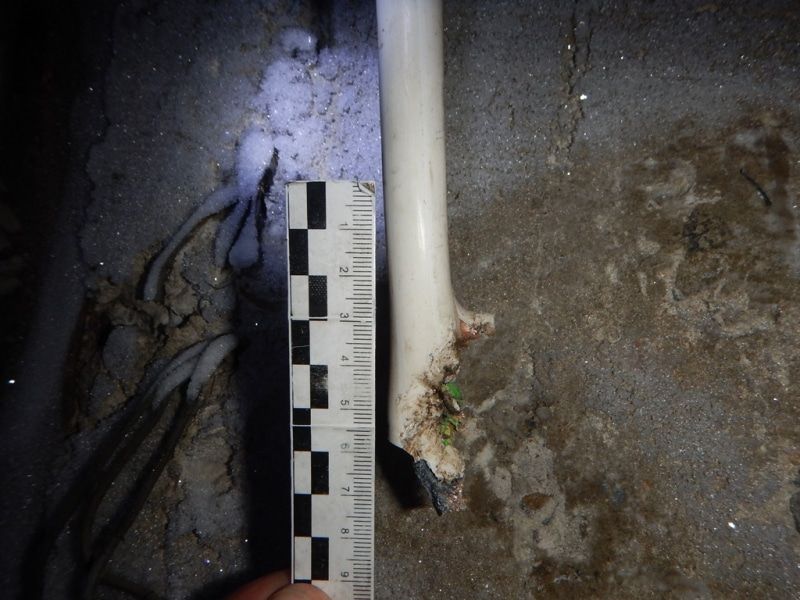 Криминал, Томские новости, кабеля украли кража дом медный кабель в Томске сдать Жителя томского села подозревают в краже кабеля из строящегося дома