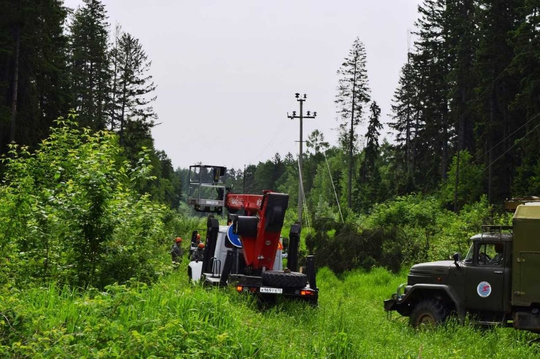 Происшествия, Томские новости, черные лесорубы рубят деревья без света происшествия отключили свет когда дадут свет «Черные лесорубы» обесточили промплощадку в Томске