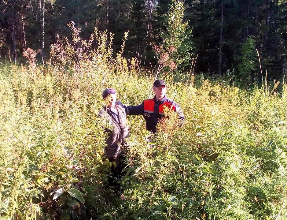 Происшествия, Томские новости, пропал потерялся грибники заблудились В Томской области пожилая женщина пошла за грибами и заблудилась