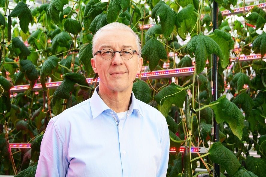 Образование и наука, Томские новости, ТПУ, лекция гринхаус greenhouse студенты образование лекции международные иностранные лекторы Голландский эксперт расскажет об «умных» теплицах на Urban Greenhouse Challenge в ТПУ