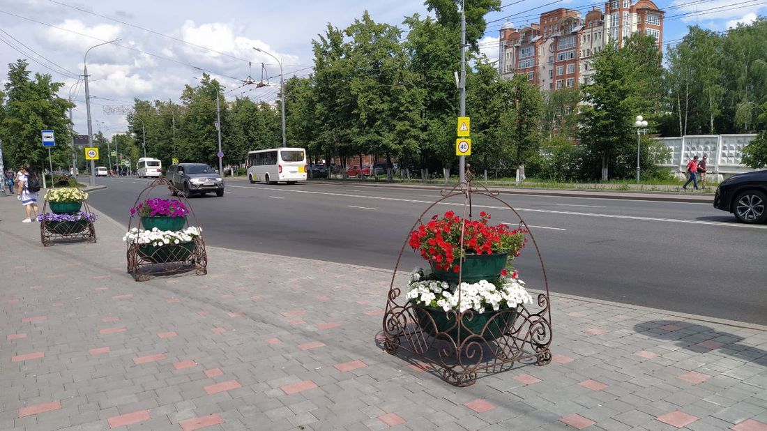 Городское благоустройство, Зелень в городе, Томские новости, Ново-Соборная зеленые насаждения зелень в Томске В Томске появились новые кованые вазоны с петуниями