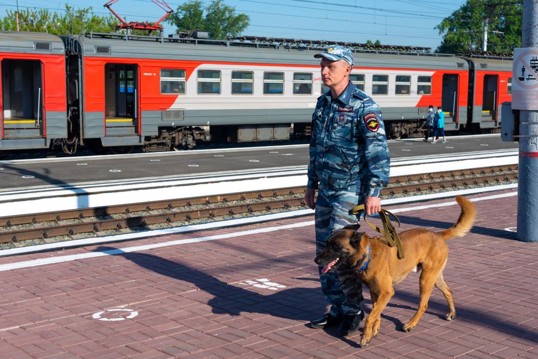 Происшествия, Томские новости, линейная транспортная полиция полицейские безопасность происшествия на железной дороге Пьяный житель Томской области получил травму головы на железной дороге в Кемерове