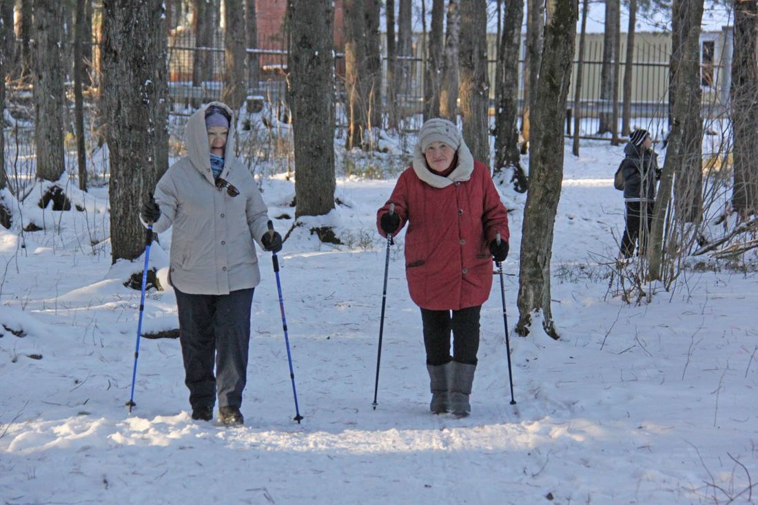 Томские новости, Томскнефть ВНК, Томскнефть северная ходьба скандинавская ходьба Палки — в руки! В Стрежевом завершается марафон по скандинавской ходьбе «Северный шаг»
