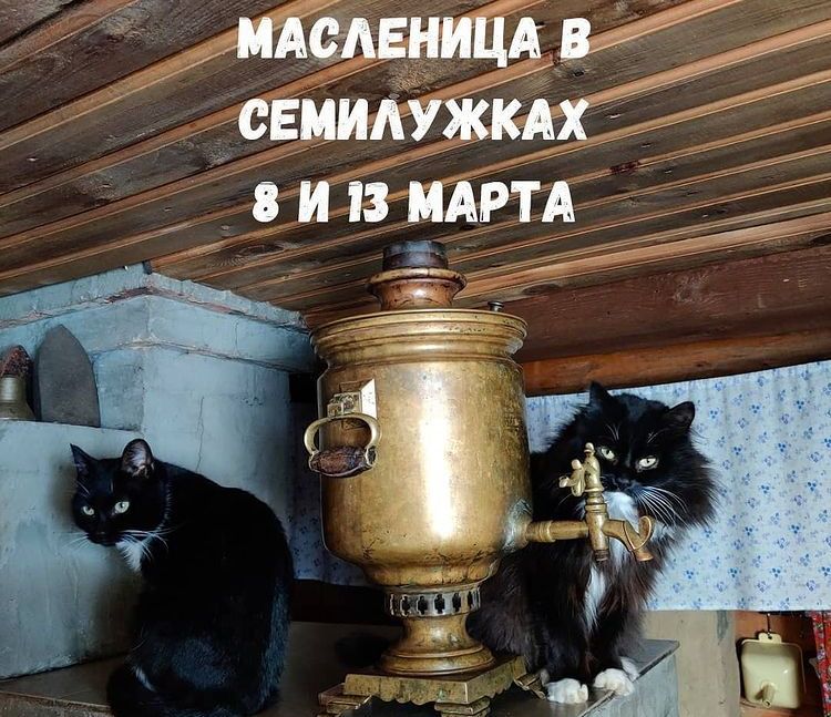 Конкурсы и акции, Праздники, Томские новости, масленица куда сходить мероприятия семилужки острог мероприятия отдохнуть проводы зимы блины Томичей приглашают на масленицу в Семилужках