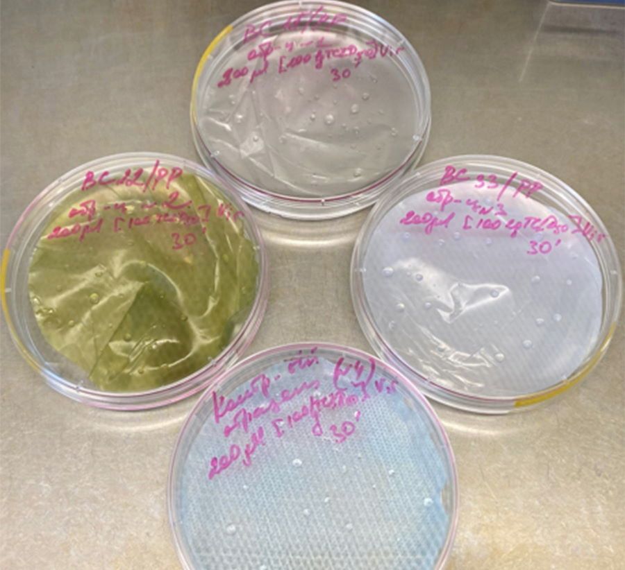 Образование и наука, ТГУ, Томские новости, тгу маски вирусы защита наночастицы безопасность покрытие для масок Томские ученые испытали новые материалы с наночастицами для защитных масок