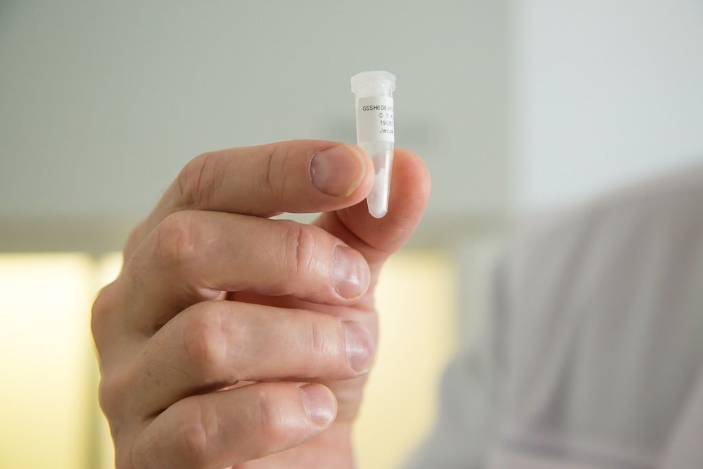 Медицина и здоровье, Образование и наука, Томские новости, ТПУ, клинические испытания препарат проверка методика лечение рака диагностика рака Разработанный в Томске препарат для диагностики рака прошел первые клинические испытания