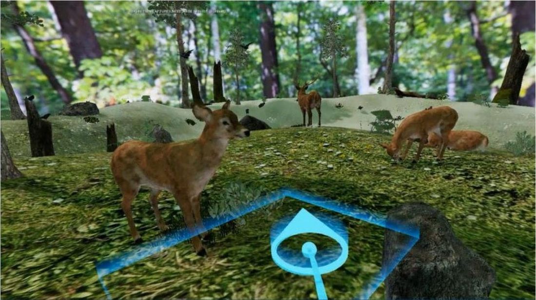 Образование и наука, ТГУ, Томские новости, среда обитания разработка виртуальных систем В Томском госуниверситете создали VR-заказник для изучения животного мира