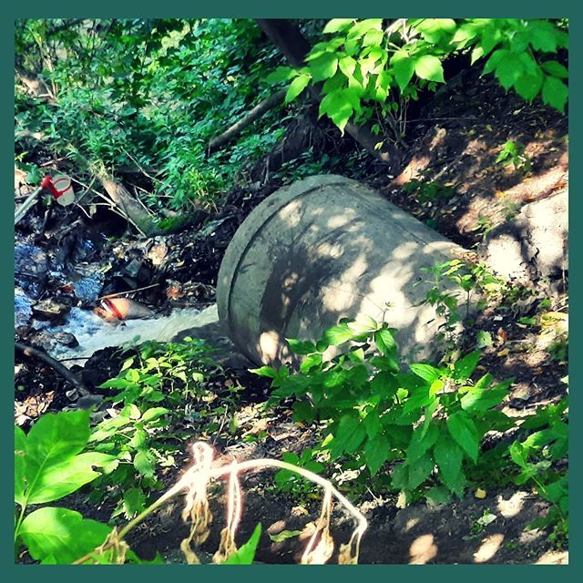 Природа, Судебные дела, Томские новости, Экология, интерфакс загрязняющие вещества Томь Ушайка Томские экологи зафиксировали превышение ПДК загрязняющих веществ в Ушайке