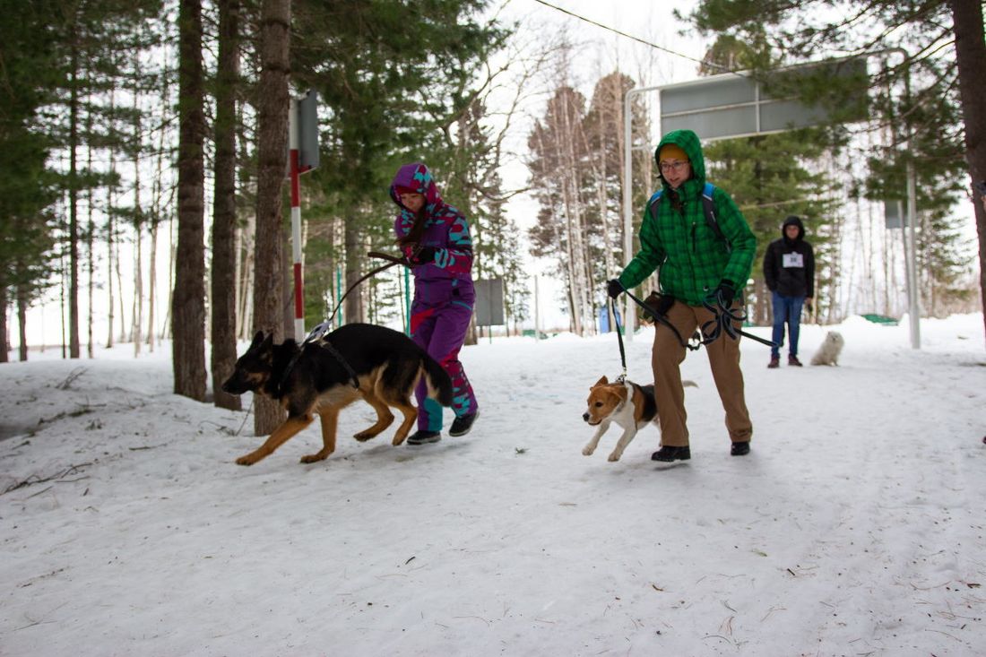 Томские новости, Томскнефть ВНК, Стрежевой Томскнефть парламент общественная жизнь Ненаказуема. Молодые нефтяники внедряют инициативы, улучшающие жизнь северян