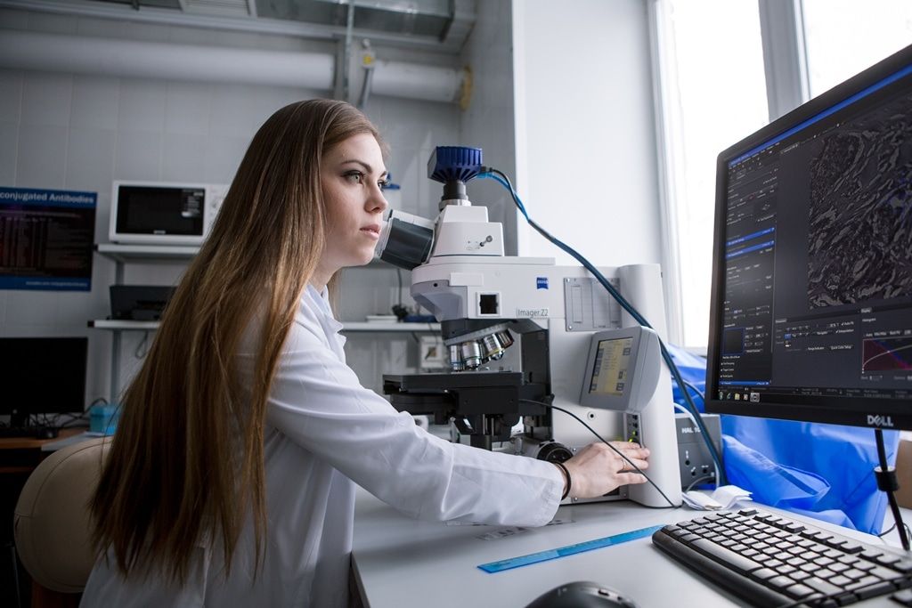 Медицина и здоровье, Образование и наука, ТГУ, Томские новости, иммунитет клетки иммунитета онкология лечение онкозаболеваний в Томской области ра операбельный макр Томские ученые выяснили, как «обманутый» иммунитет помогает разным типам опухоли