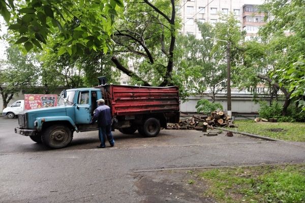 Погода и природа, Стихия в Томске и области, Томские новости, светофоры деревья ураган в Томске град Град и шквалистый ветер обрушились на Томск