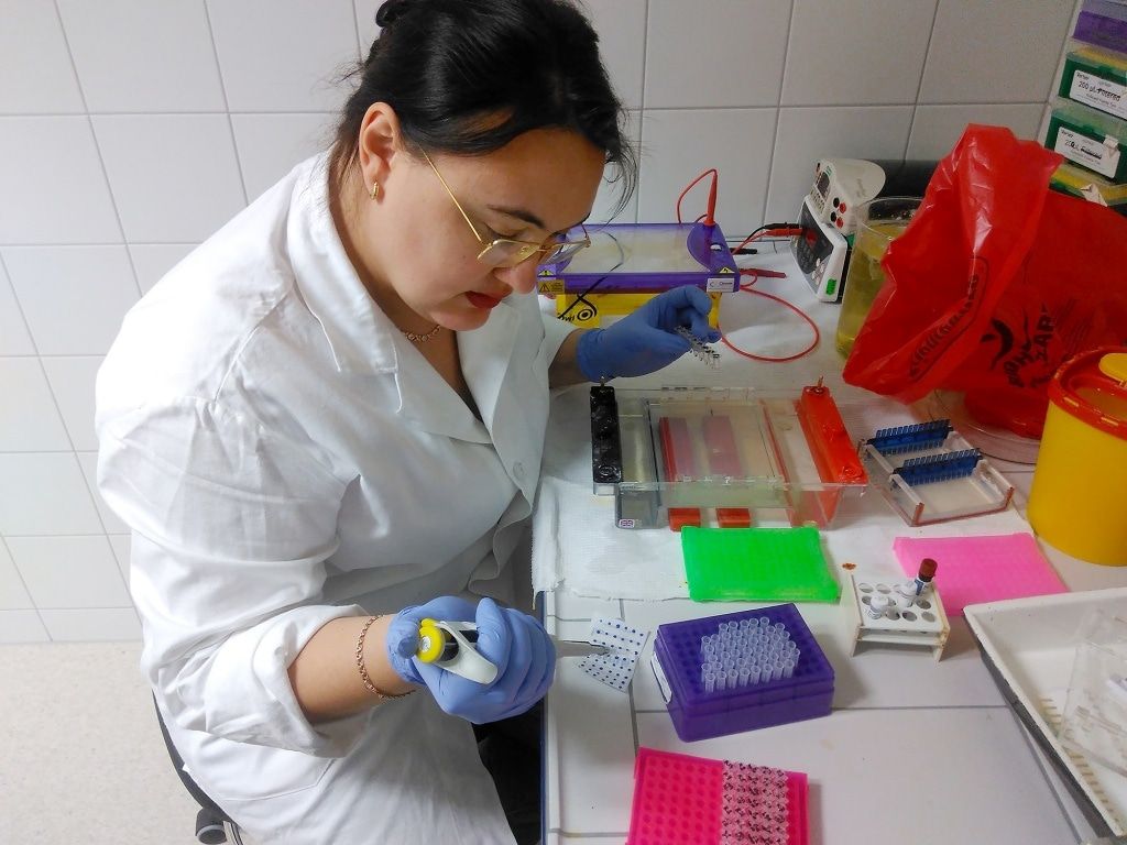 Безопасность, Образование и наука, Социальная сфера, ТГУ, Томские новости, вирус болезнь заболевание коронавирус смертельные заболевания эпидемия Россиянам не стоит паниковать из-за нового коронавируса — томские ученые