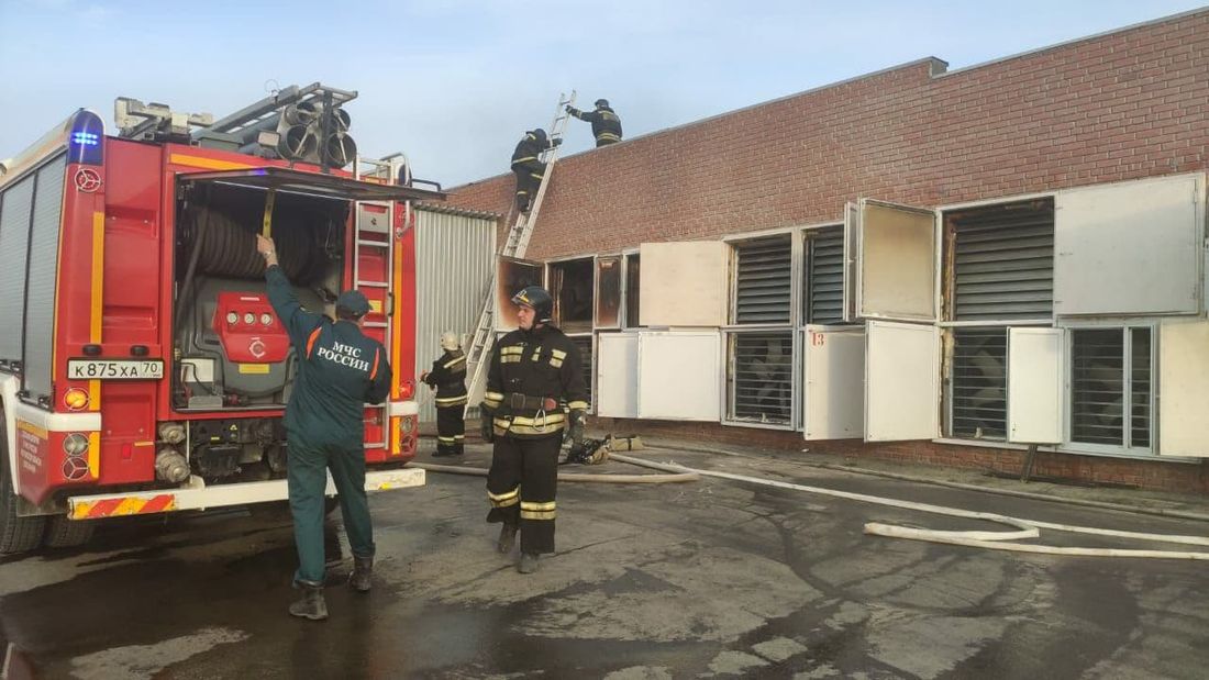 Происшествия, Томские новости, пожар цыплята птицефабрика сгорели пострадали сводка жесть Томска Из-за пожара на птицефабрике в Томске погибли 60 тыс. цыплят