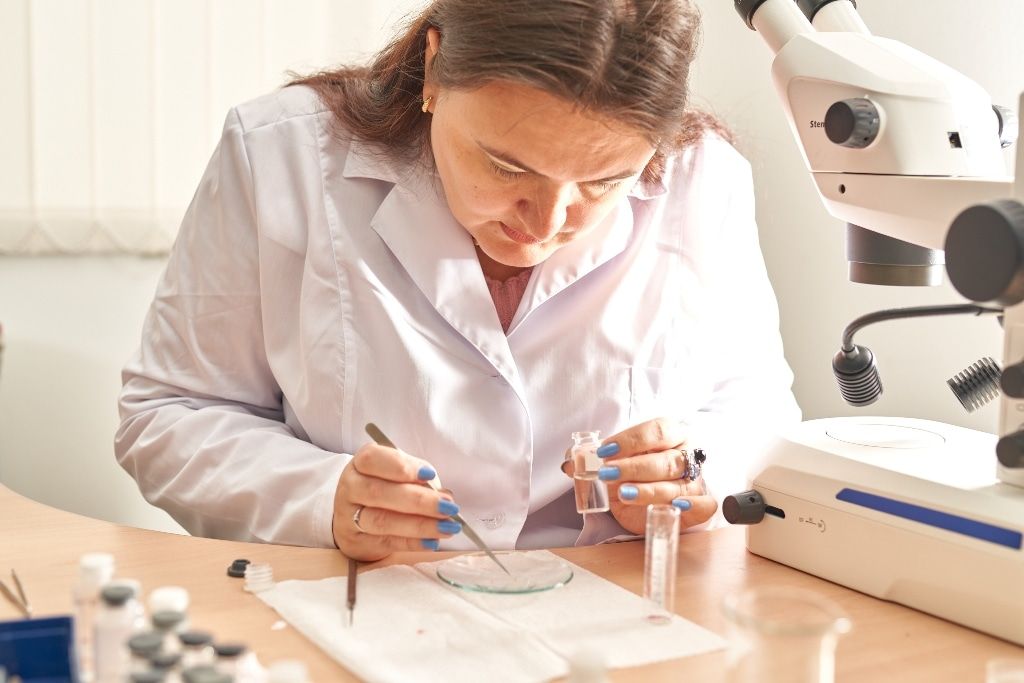 Образование и наука, ТГУ, Томские новости, паразиты клещи летучие мыши инфекции Томские ученые помогли найти новых паразитов у летучих мышей из Азии